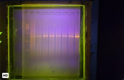 Team-supplied gel photograph for Bacterial preparation in a blood matrix; all lanes retained in the extracted image
